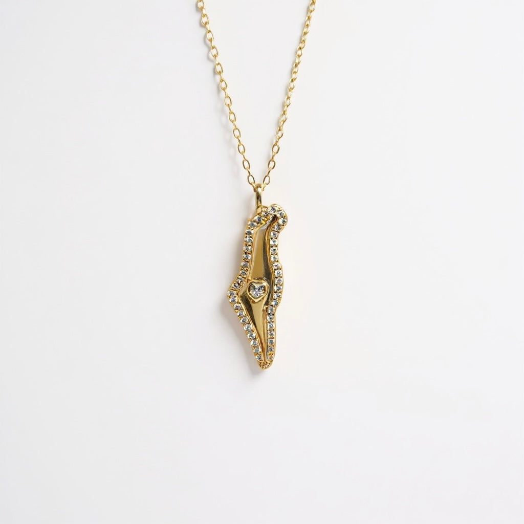 Heart of Israel Charm Necklace